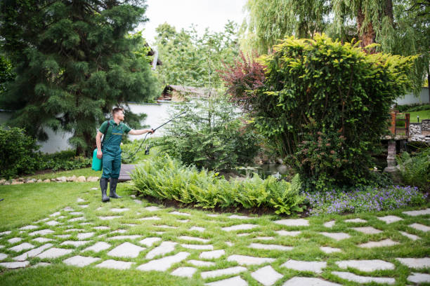 Best Best Pest Control Companies  in St Paris, OH