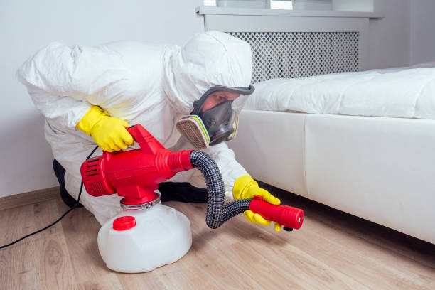 Best Wasp Removal Services  in St Paris, OH