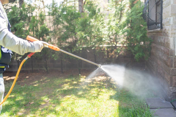 Best Spider Control Near Me  in St Paris, OH